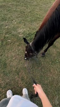 Мой первый конный поход🏇🌲