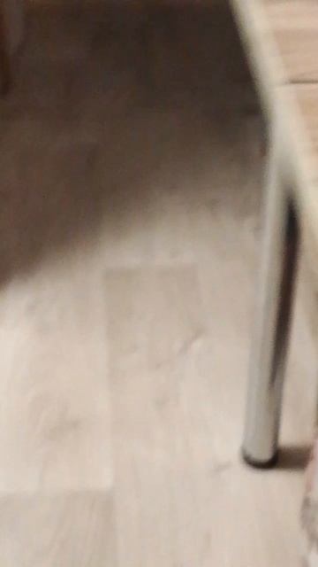 Бусинка кушает яблочко ♥️