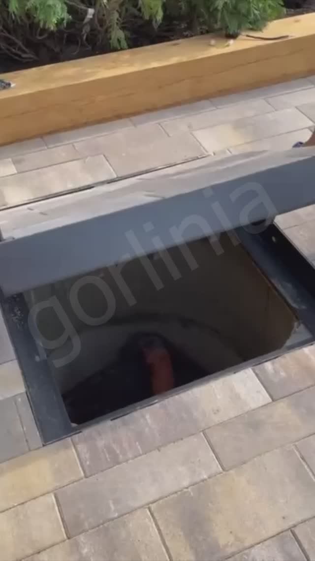 Люк под тротуарную плитку скрытый Проспект 800х800