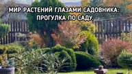 Мир растений глазами садовника: прогулка по саду