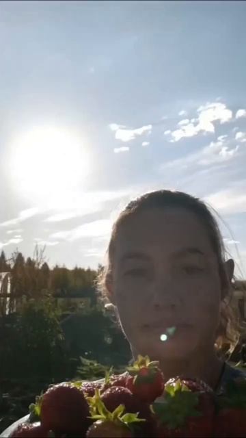 Клубника - вовсе НЕ ягода