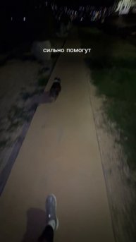 ВОЛШЕБНАЯ ТАБЛЕТКА ДЛЯ 🐶