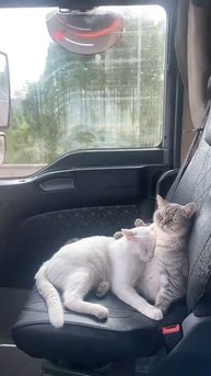 Мы же?🥰
