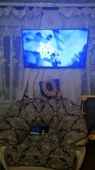 VID_20231127_204231