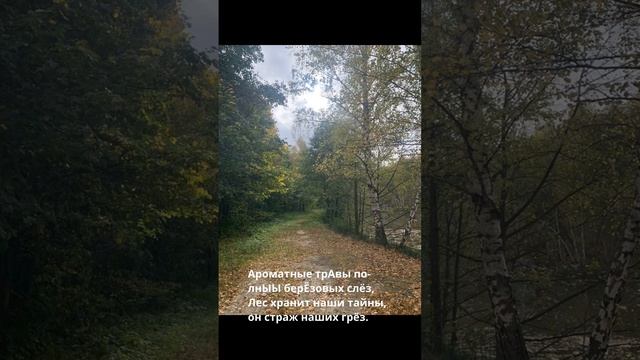 Саратовский лес