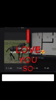 зайки мои, я вас люблю! 😍🥰❤️