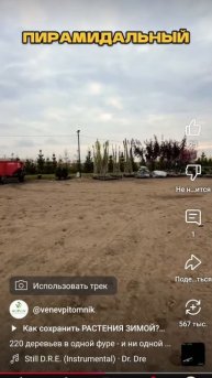 Сколько и как крупномеров помещается в фуру?🚛 🌳