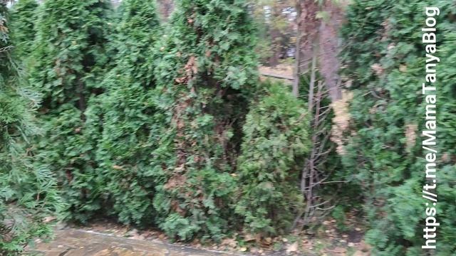 Дворец на пруду на ВДНХ