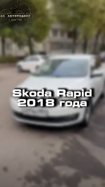 Проверили для клиента Skoda Rapid 2018 года