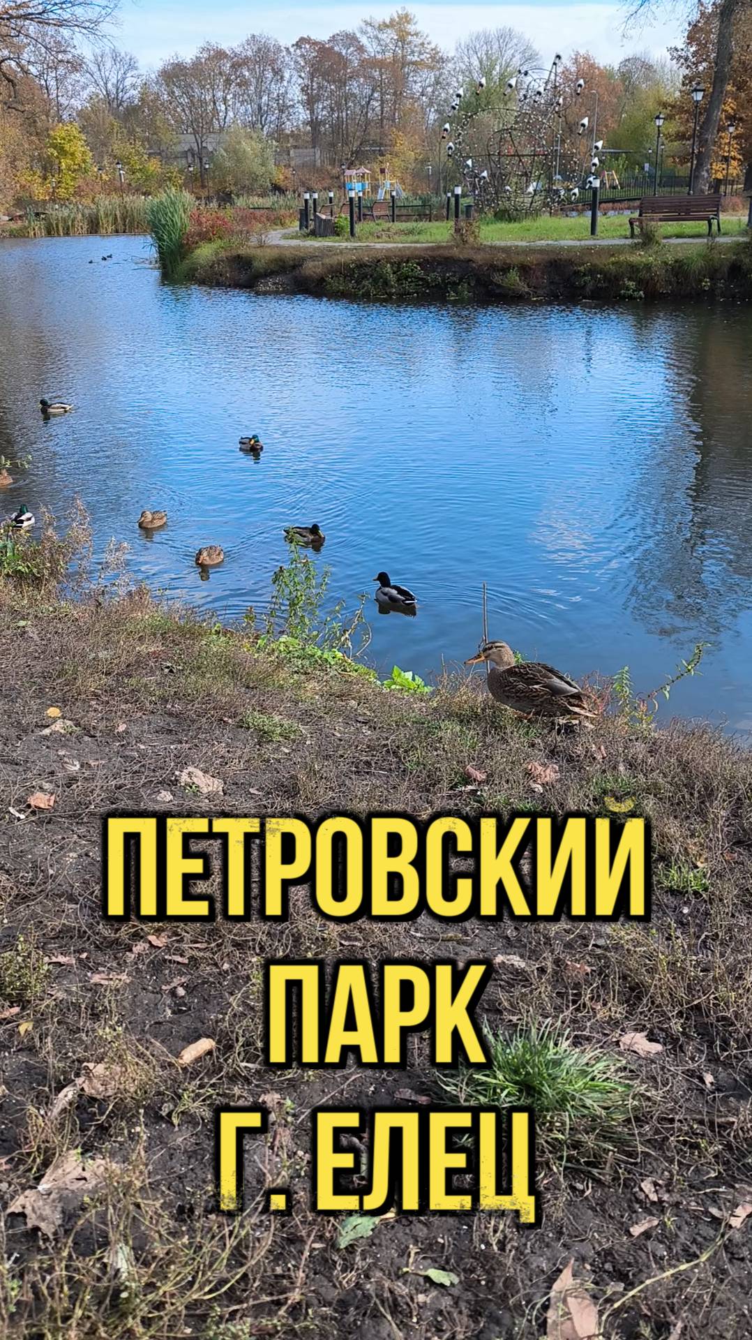 Петровский парк. Елец. Клип 1 Фауна