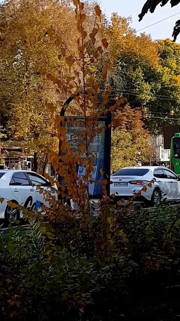 Утро Алматы. 25.10.2025