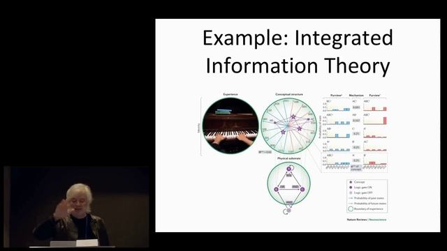Дэвид Чалмерс. Может ли существовать математическая теория сознания?