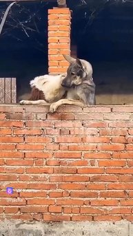 Ты моя прелесть