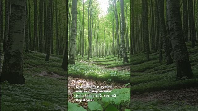 Базарный Карабулак