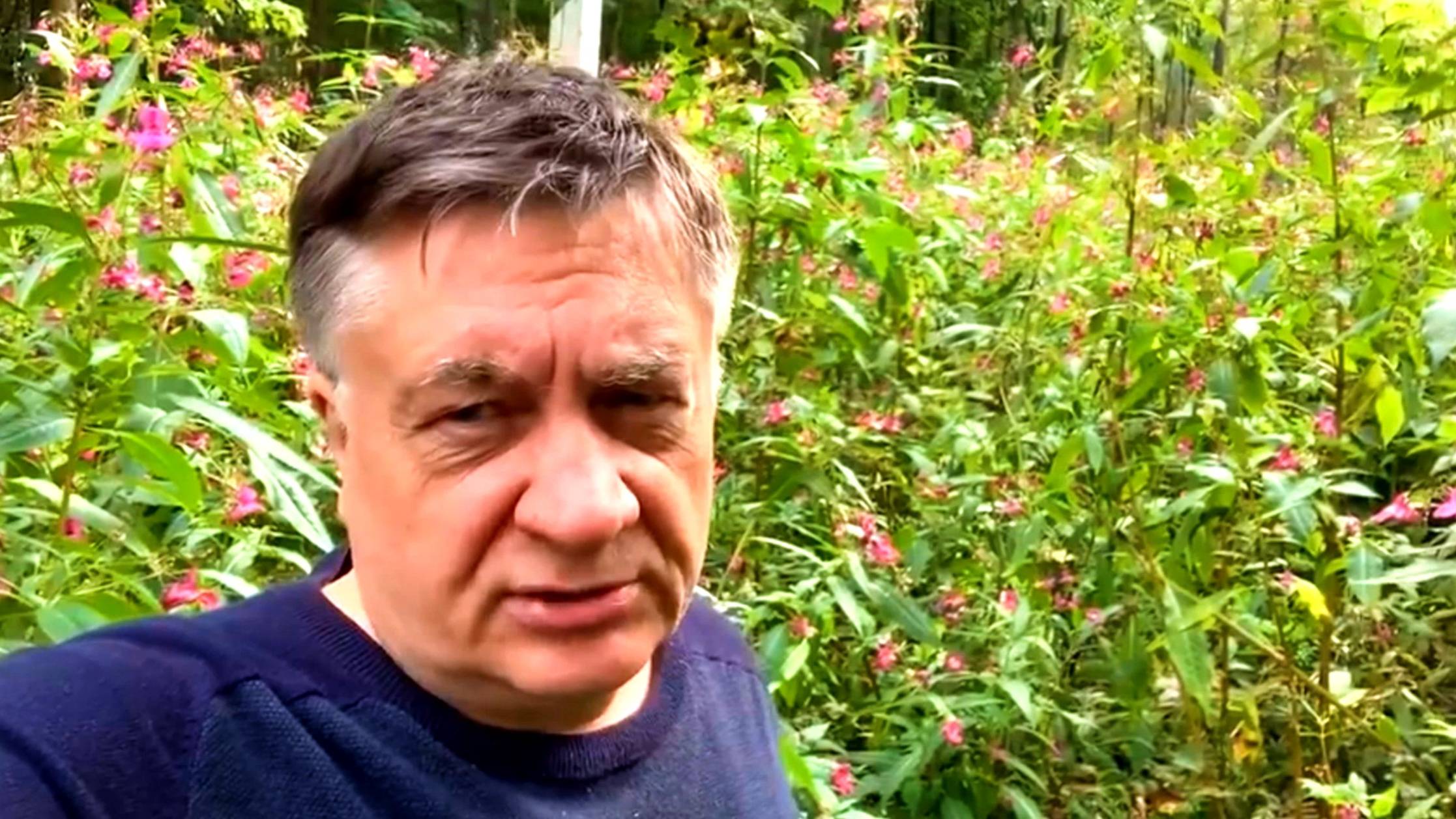 Сбежал агрессивный бальзамин!