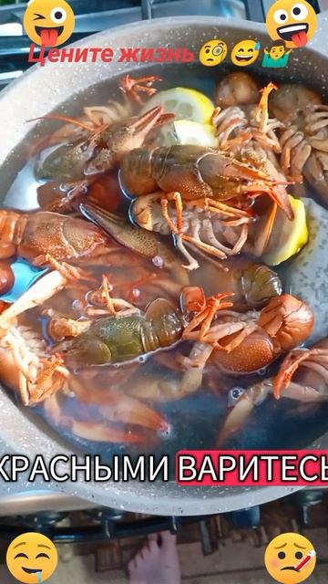 Цените жизнь😅 🦀🦞🦐🤨🧐