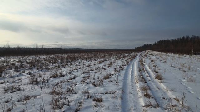 Прогулки около Мирного.