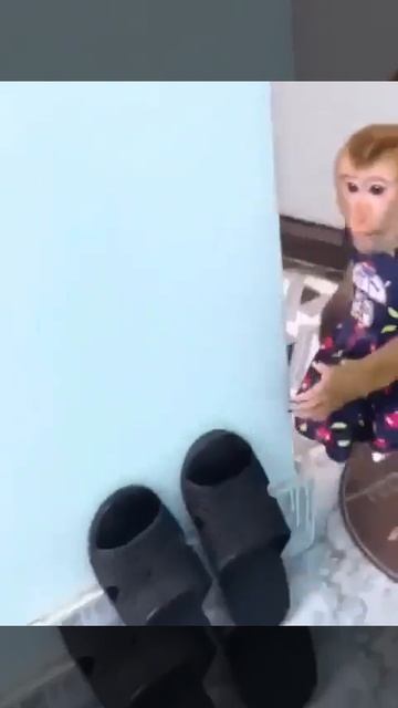 Видео от МЯУтаверс – как метавселенная, но с котами