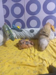 ПРОДОЛЖЕНИЕ