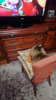 VID_20251026_221533.mp4
