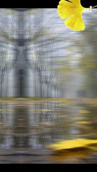 Александр Лугинский - Разговоры про погоду