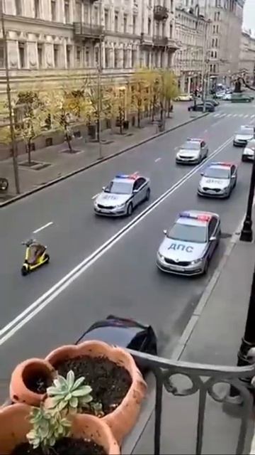 Типичные МВД на матрёшка рп