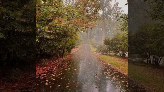 Премьера  осень  🍂  с неба  свои слёзы льёт Владимир Журавель