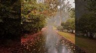 Премьера осень 🍂 с неба свои слёзы льёт Владимир Журавель