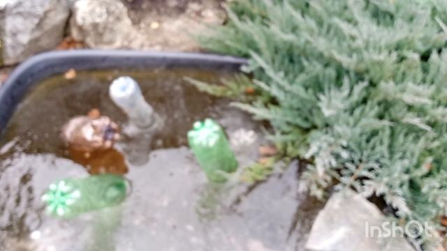 лёд уже появился?