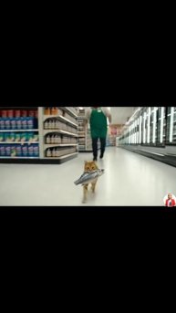 Рыба - создано Ai