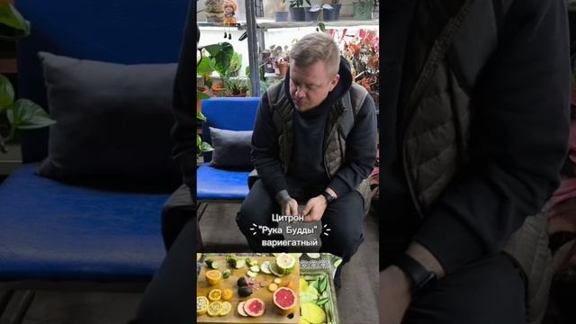 Рубрика дегустация в Цитрус Микс Экзотика!🍊🍋🍋🟩