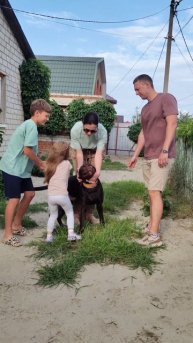 Это лето 2025 Арчи поехал домой.
АРЧИ МЫ ПО ТЕБЕ СОСКУЧИЛИСЬ! 🤗 🥰 🐕 23254.mp4