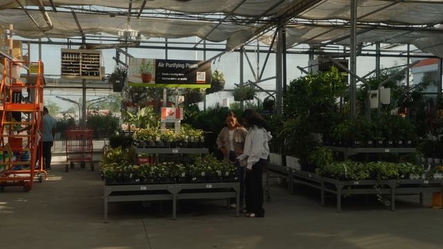 Что вам не говорят о ваших 20-летних