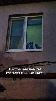 Наши любимки всегда ждут😍