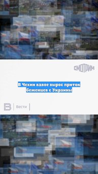 В Чехии вдвое вырос приток беженцев с Украины