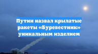 Путин назвал крылатые ракеты «Буревестник» уникальным изделием