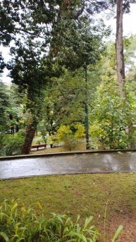 санаторий металлург