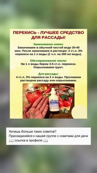 Пероксид водорода для здоровой рассады