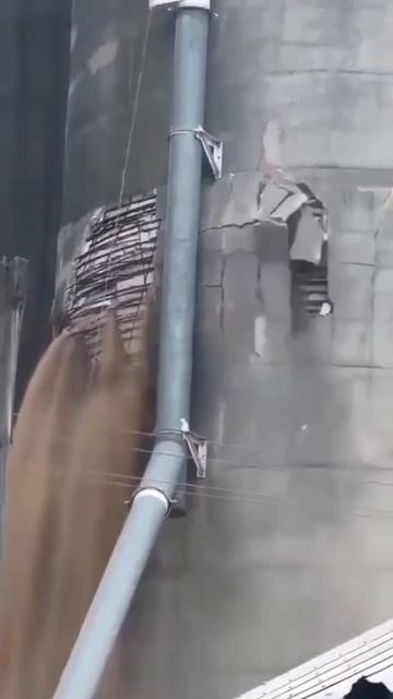 Эффективность частной собственности