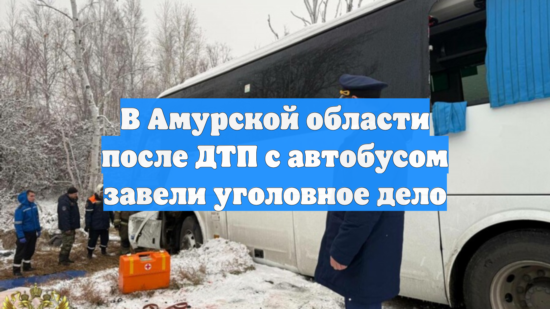В Амурской области после ДТП с автобусом завели уголовное дело
