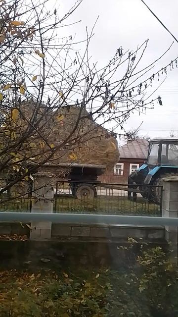 VID_20251026_142527.mp4