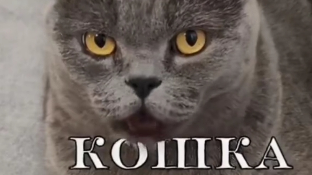 Ходим и общаемся