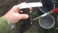 Гарденмарт интернет магазин саженцы отзывы