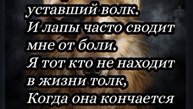 "Уставший но не сломанный Волк'