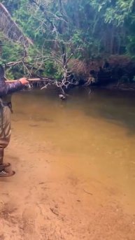 Клип @zatropheem