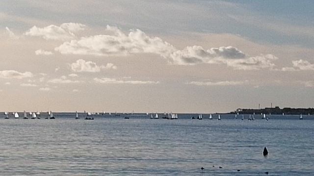 Геленджик. Конец октября. Детская парусная регата.