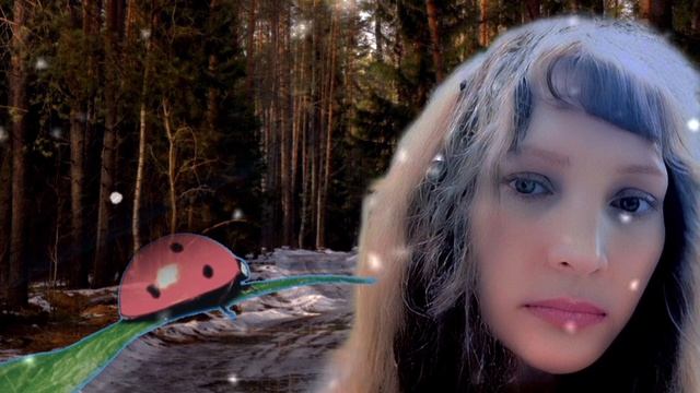 Пою Я построил для неё картонный дом Автор стихи Мэри Сказ