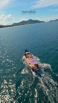 🎣 Маленькая рыбацкая лодка у побережья Вьетнама – DJI Avata FPV 🌊Простая жизнь на воде — два рыба
