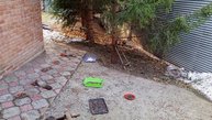 воскресный день в зоопарке