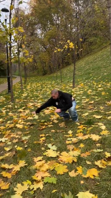 Какой трюк понравился больше?